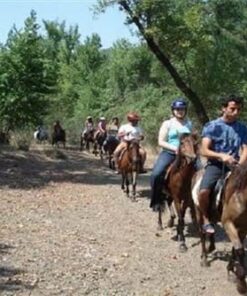 marmaris horse safari tour -marmaris excursions